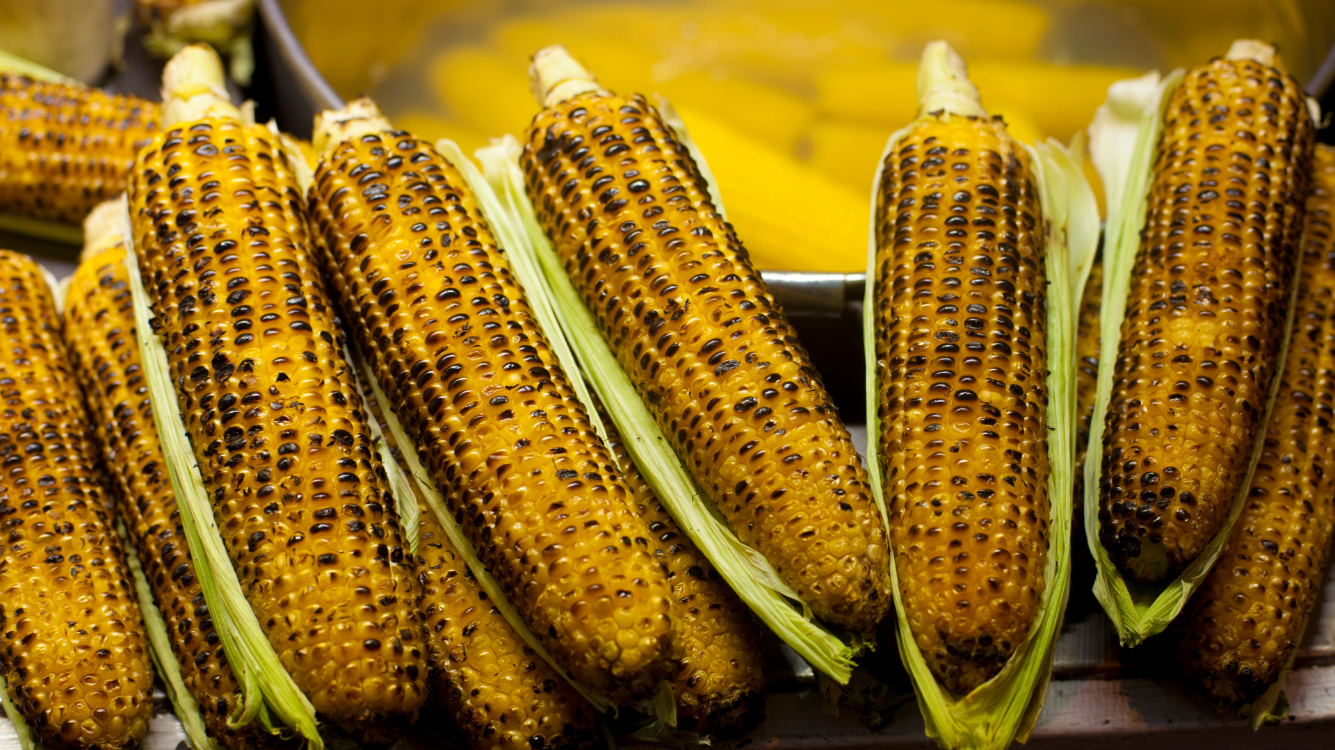 Roasted Corn on the Grill